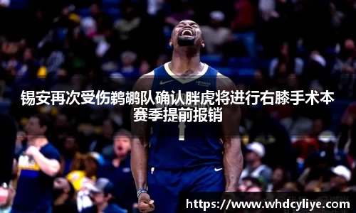 天博TB·体育