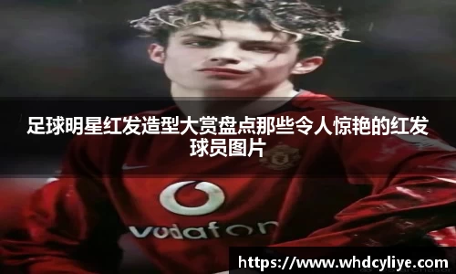 天博·综合体育官网入口