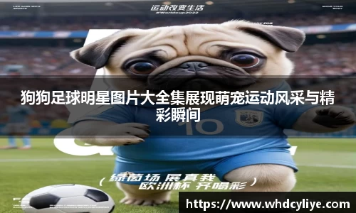 天博·综合体育官网入口