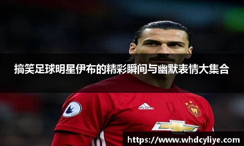 天博TB·体育登录入口