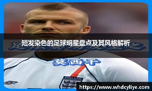 天博·综合体育官网入口