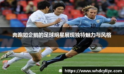 天博·综合体育官网入口