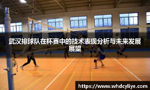 武汉排球队在杯赛中的技术表现分析与未来发展展望